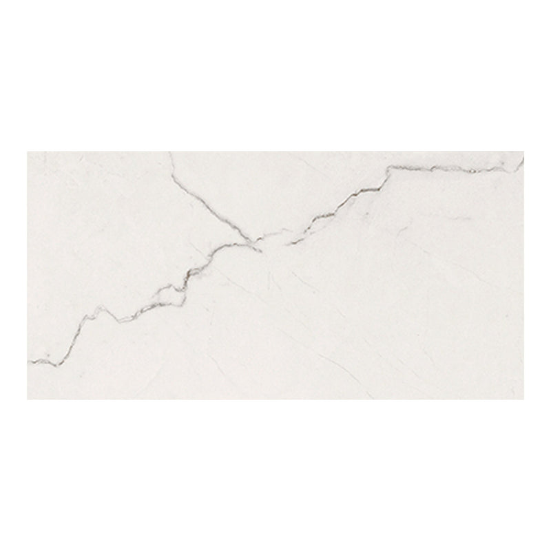 12x24 Brighton Grey Matte Porcelain Tile (Approx. 16 sf/box)