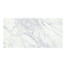 18x36 Silver Blanc Honed Marble Tile