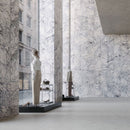 18x36 Arabescato Purple Honed Marble Tile