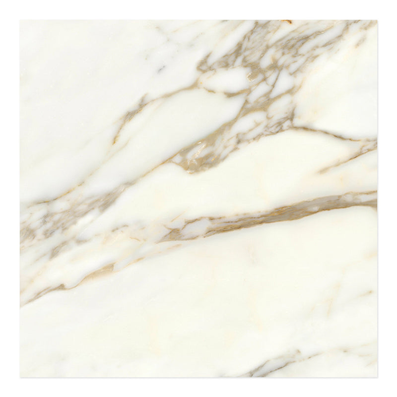 32x32 Calacatta Gold Polished Porcelain Tile (32 CT/PA)