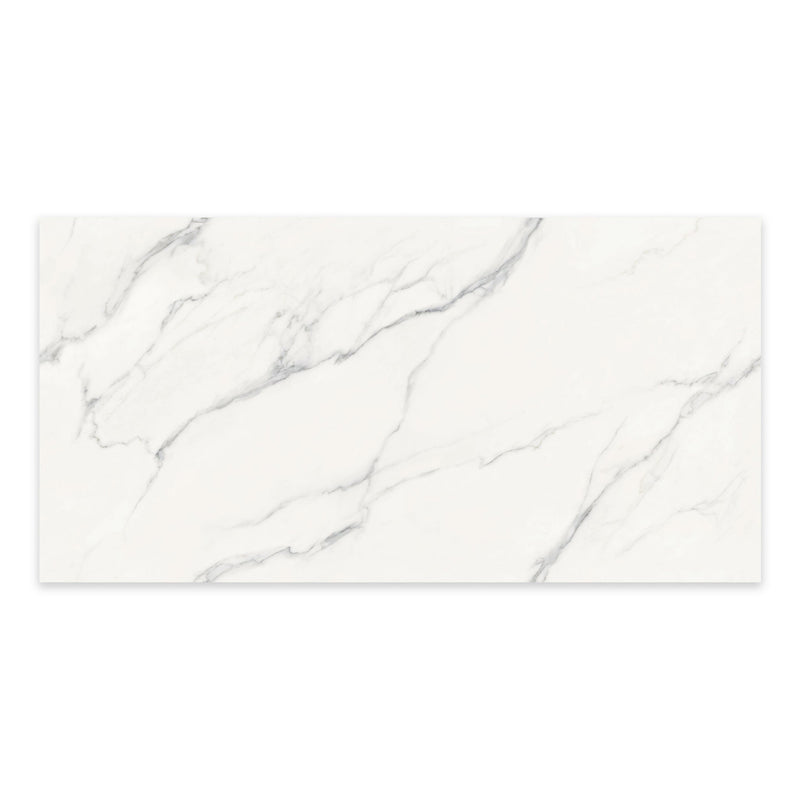 9mm 30x60 Roman Stone White Porcelain Polished Slab Final Sale (25 CT/PA)