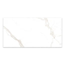 9mm 48x96 Landscape White Porcelain Glazed Slab Final Sale (1200x2400mm)