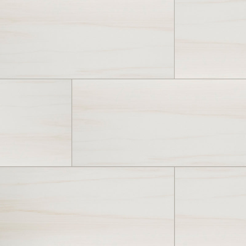 24x48 Eden Dolomite Matte Porcelain Tile (Approx. 16 sf/box)