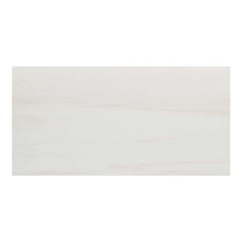 24x48 Eden Dolomite Matte Porcelain Tile (Approx. 16 sf/box)