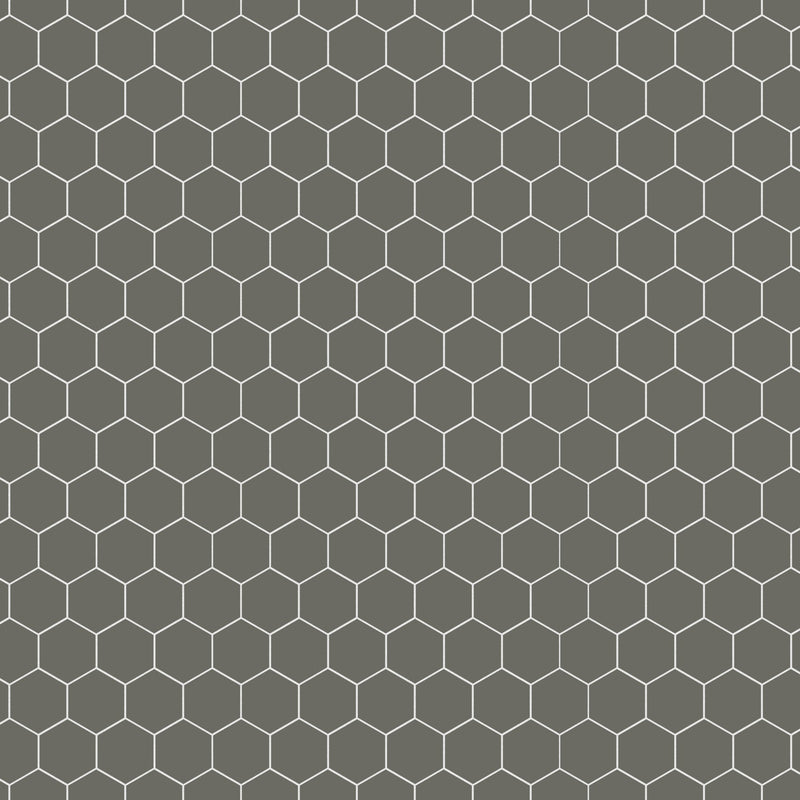 2x2 Solid Dark Grey Hexagon Matte Porcelain Mosaic